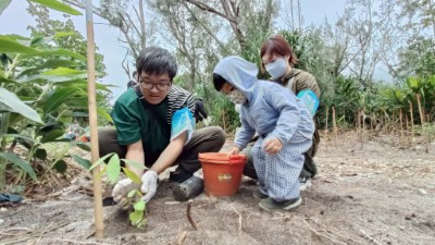 七星潭啟動臨海植群「宮脇法」復育，　營造親人的森林生態。